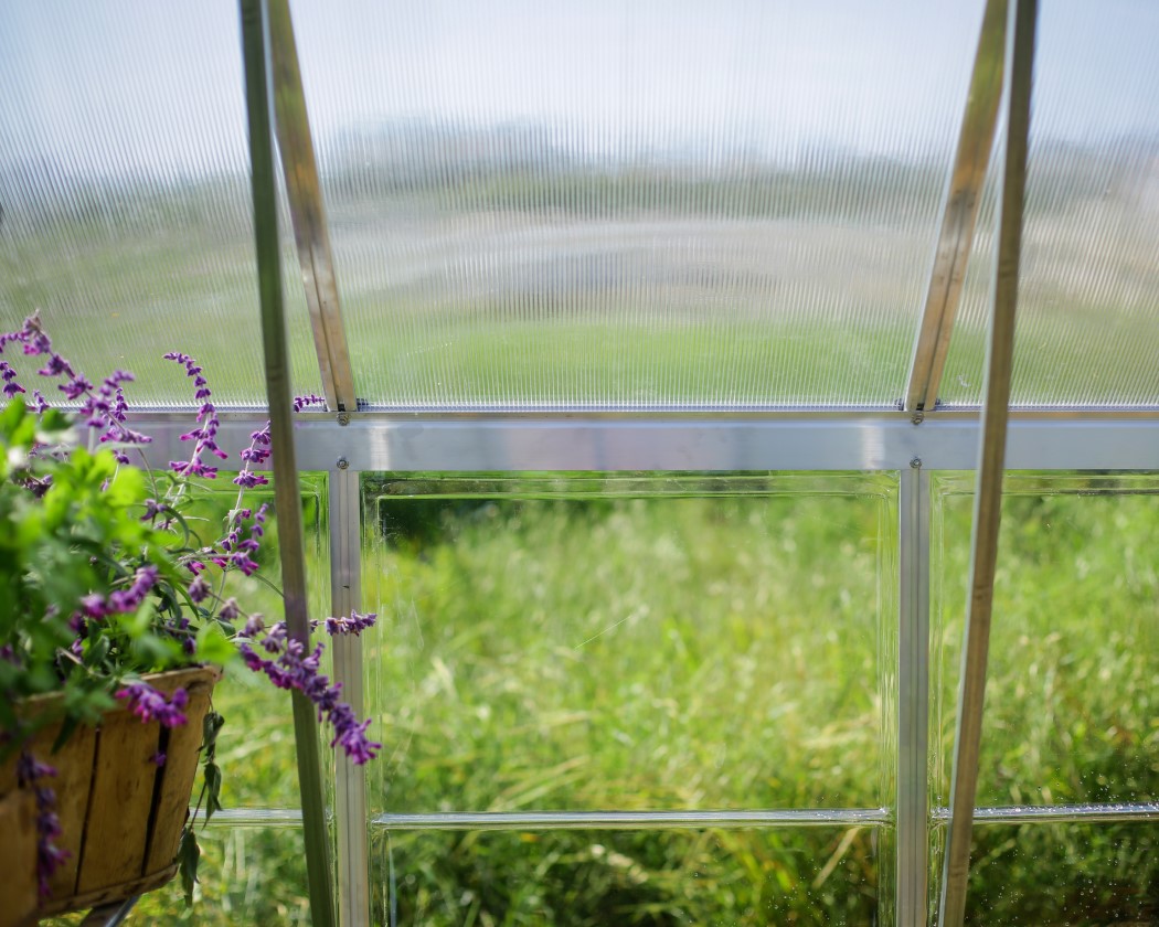 Palram - Canopia Balance 10 x 20 Foot Silver Greenhouse