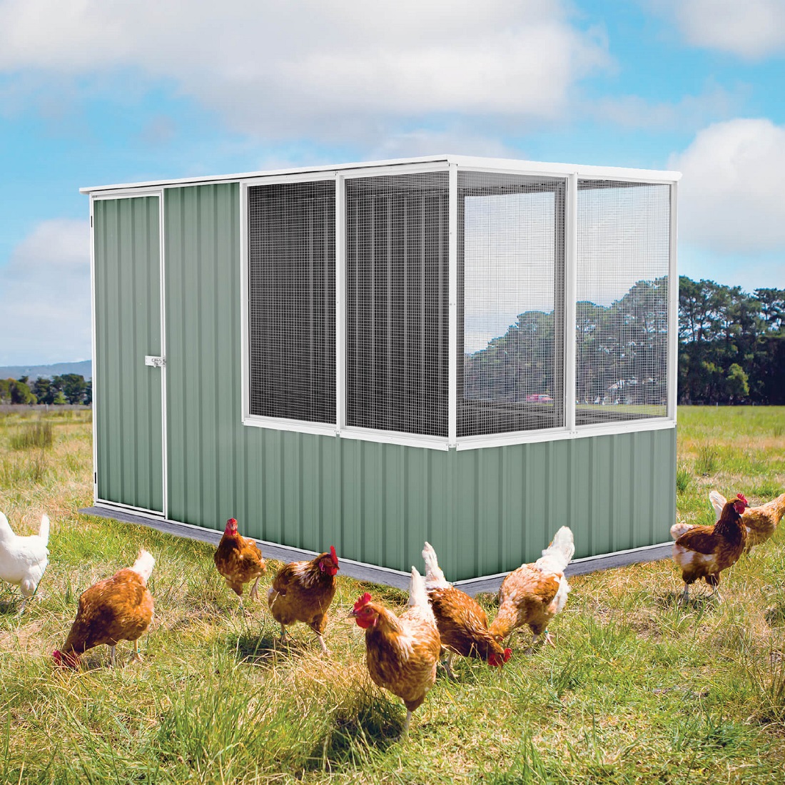 Absco 5 x 9.7 Foot Galvanized Steel Chicken Coop