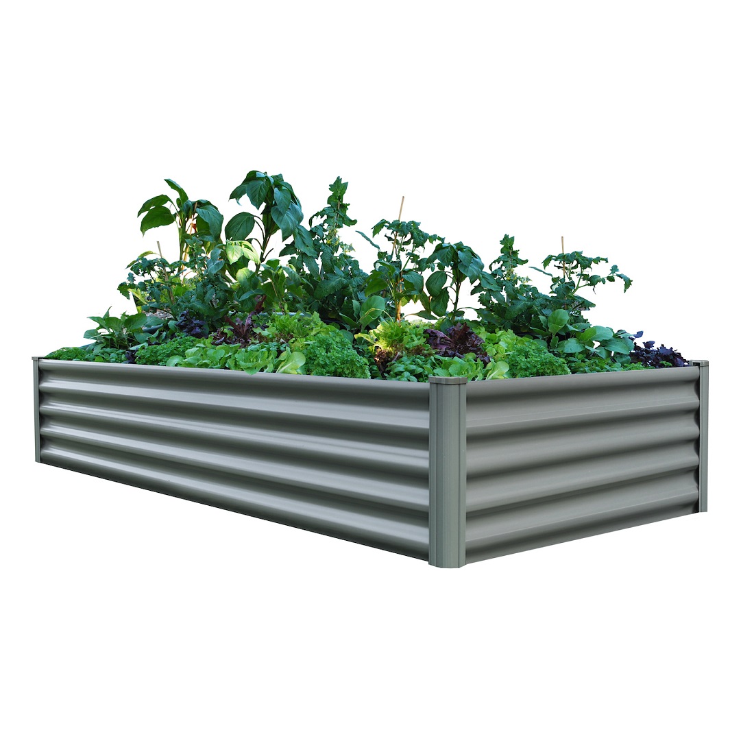 Absco The Organic Garden Co 6 x 3 Foot Rectangular Steel Raised Garden Bed