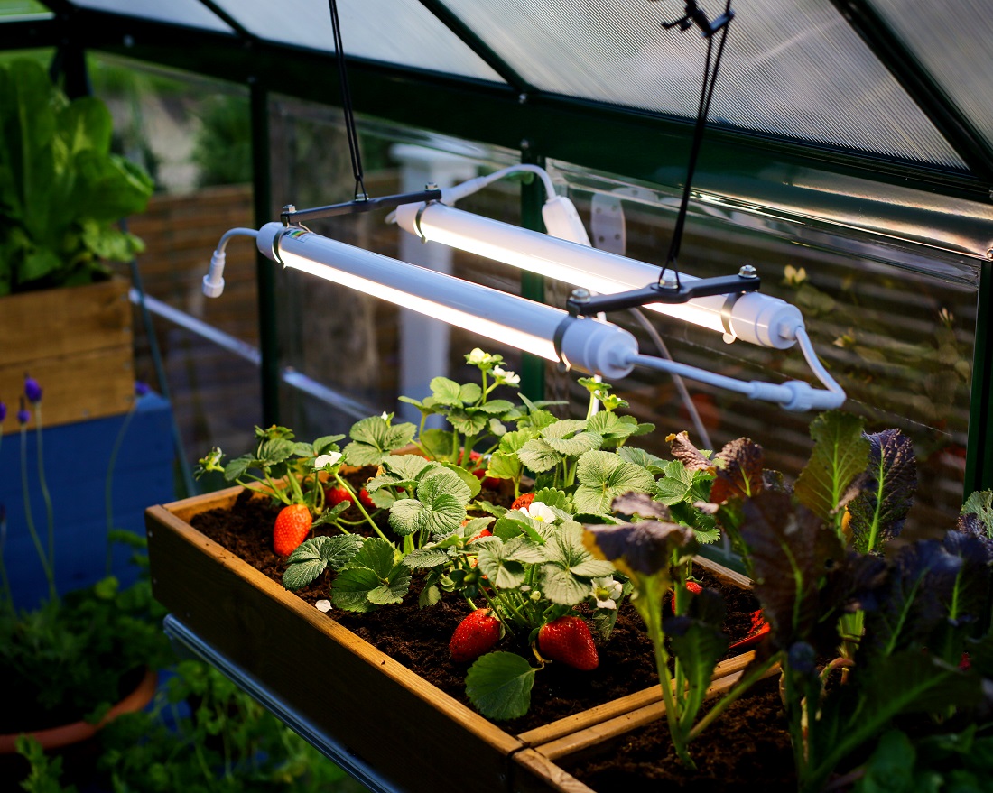 Palram - Canopia Brighton LED Grow Light