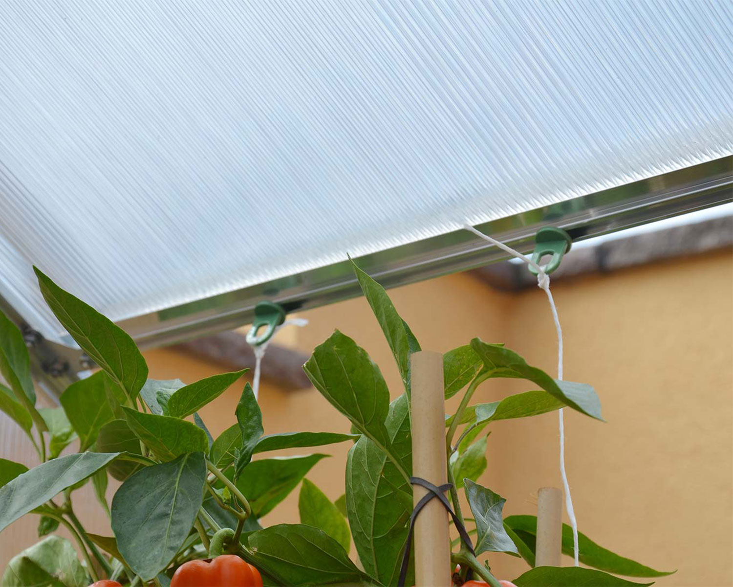Palram - Canopia Greenhouse Accessory Bundle