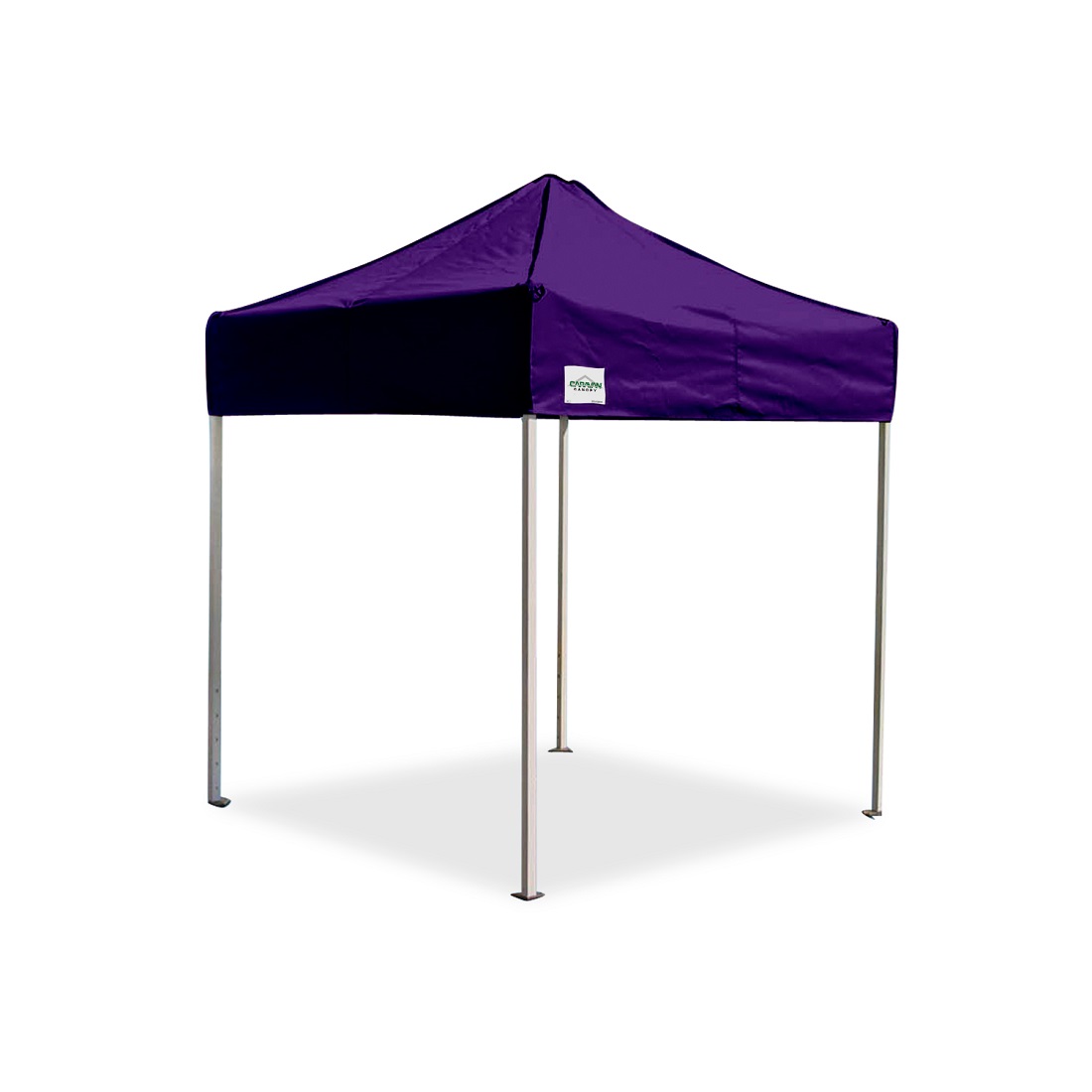 Caravan Canopy 5 x 5 Foot Pro Top Canopy Top - 500D