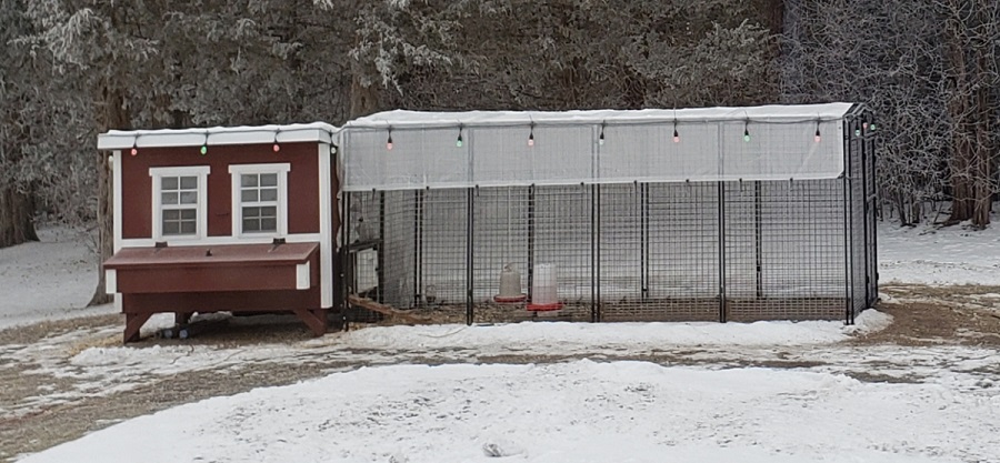 PTM Tarps Heavy Duty Clear Polyethylene Tarp - 7' x 20' - TC0720