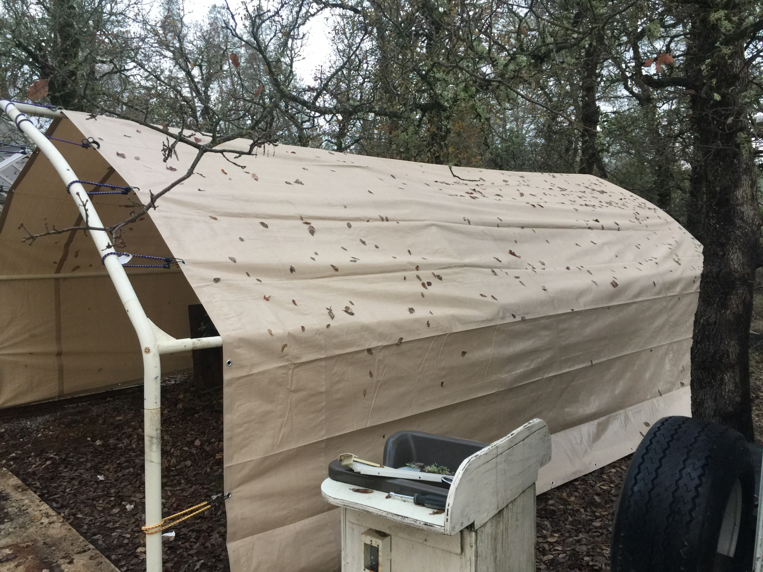 PTM Tarps Heavy Duty Desert Polyethylene Tarp - 20' x 20' - TD2020