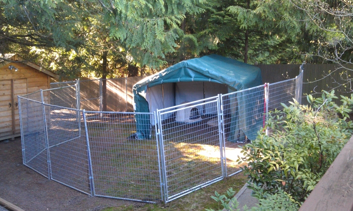 Rhino Shelter House Style Instant Storage Shed - 12 x 12 x 8