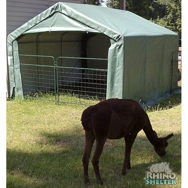 Rhino Shelter House Style Instant Storage Shed - 12 x 12 x 8