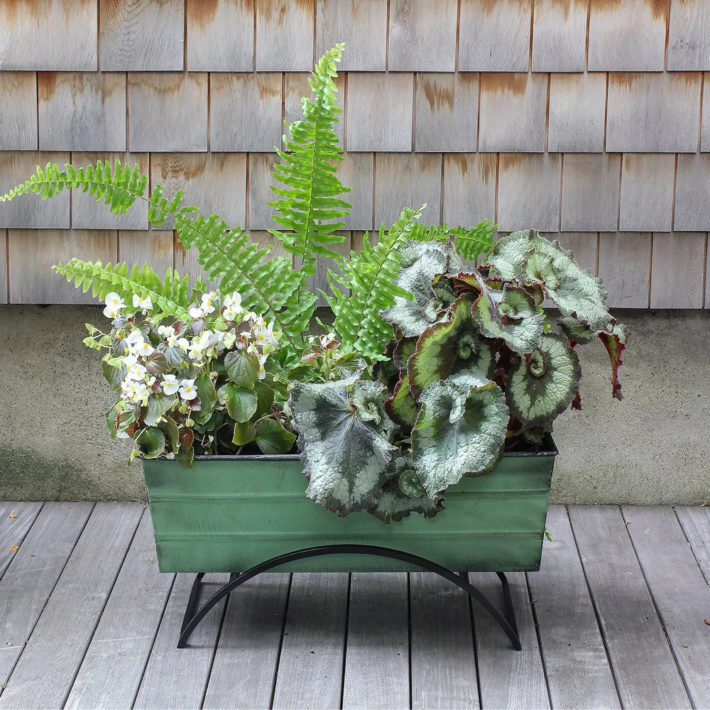 Achla Green Medium Flower Box with Odette Stand