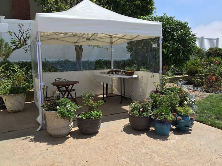 Vitabri V3 10 x 10 Aluminum Pop Up Waterproof Canopy