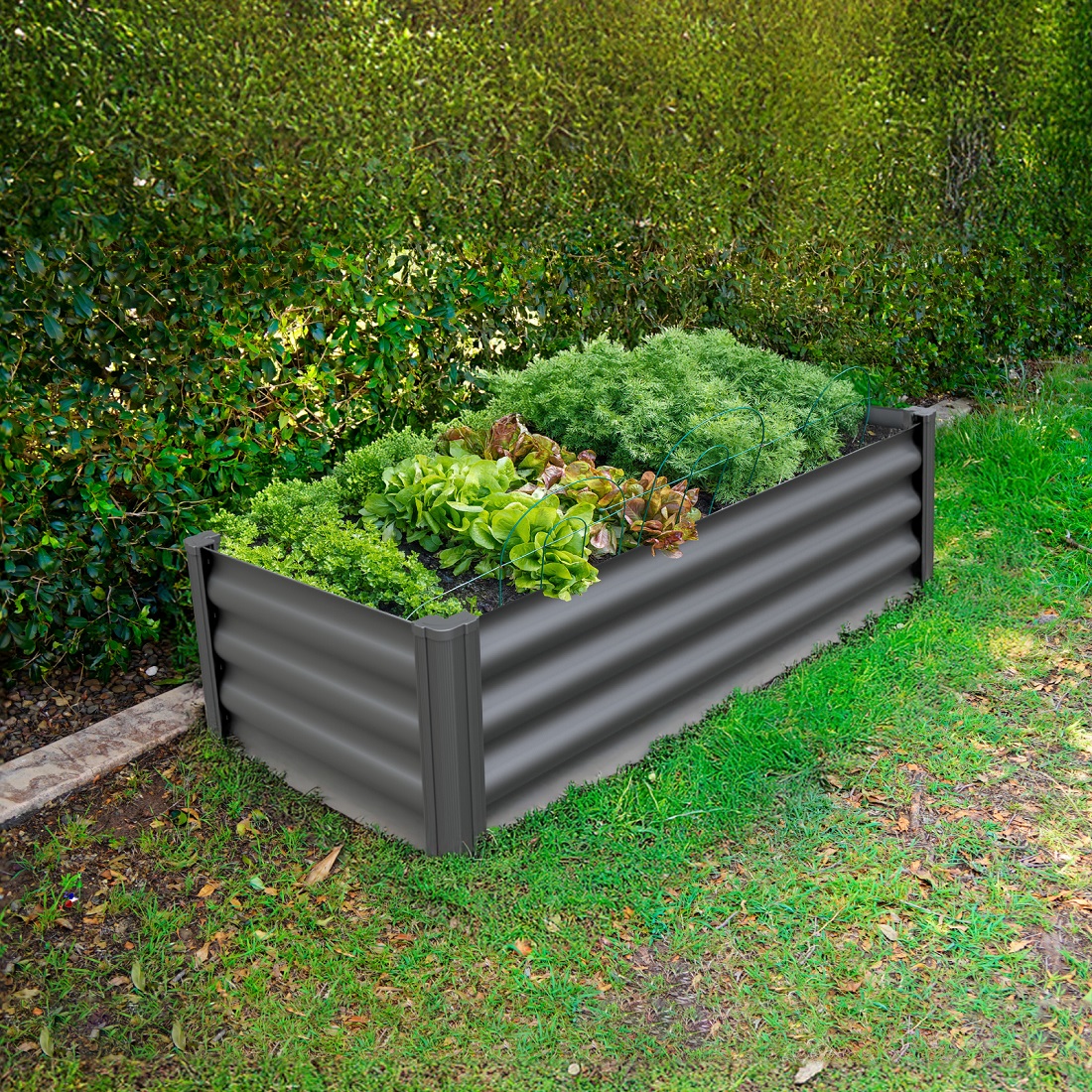 Absco The Organic Garden Co 4 x 2 Foot Hakea Foot Metal Rectangle Garden Bed