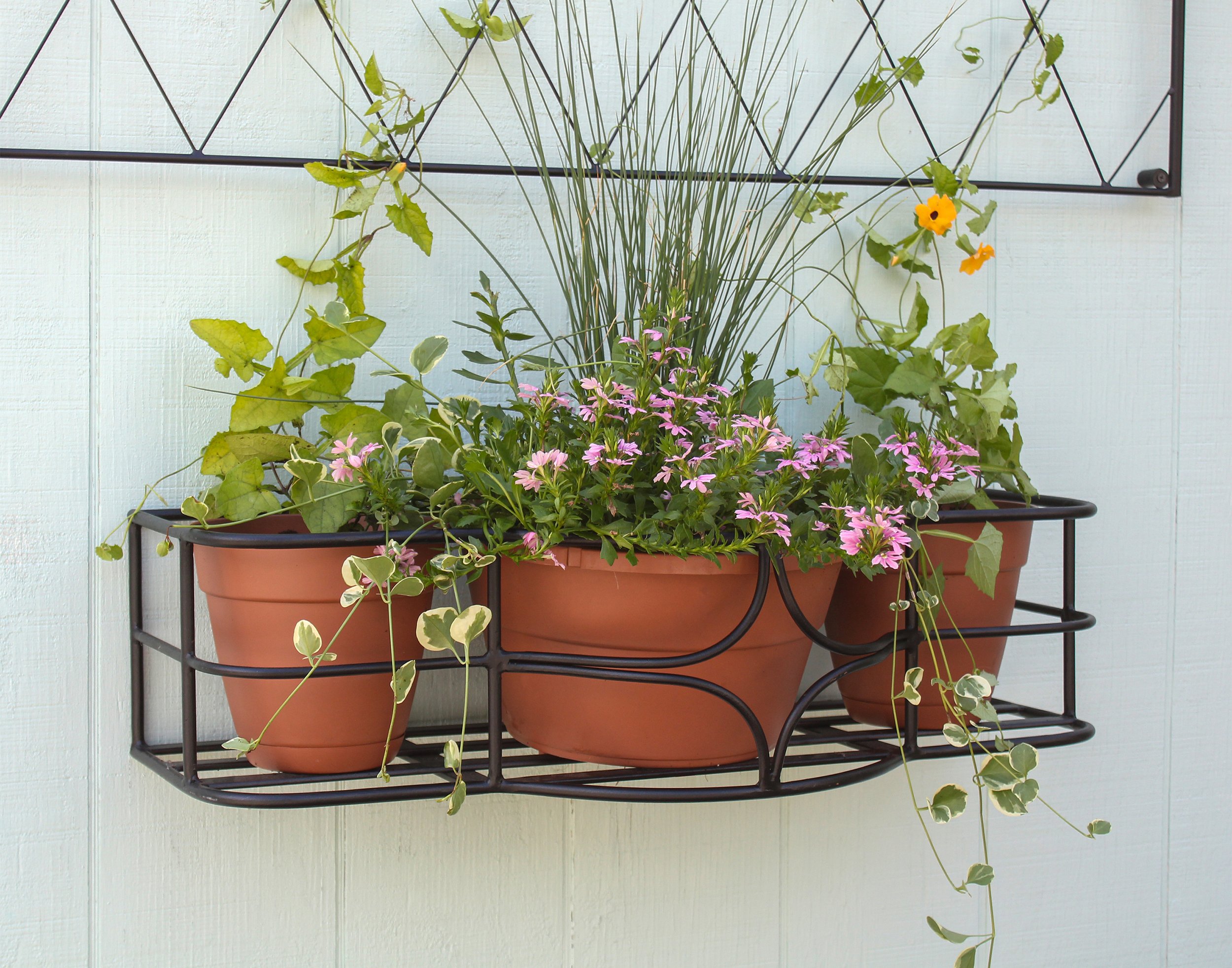 Achla 30 Inch Argyle Window Box