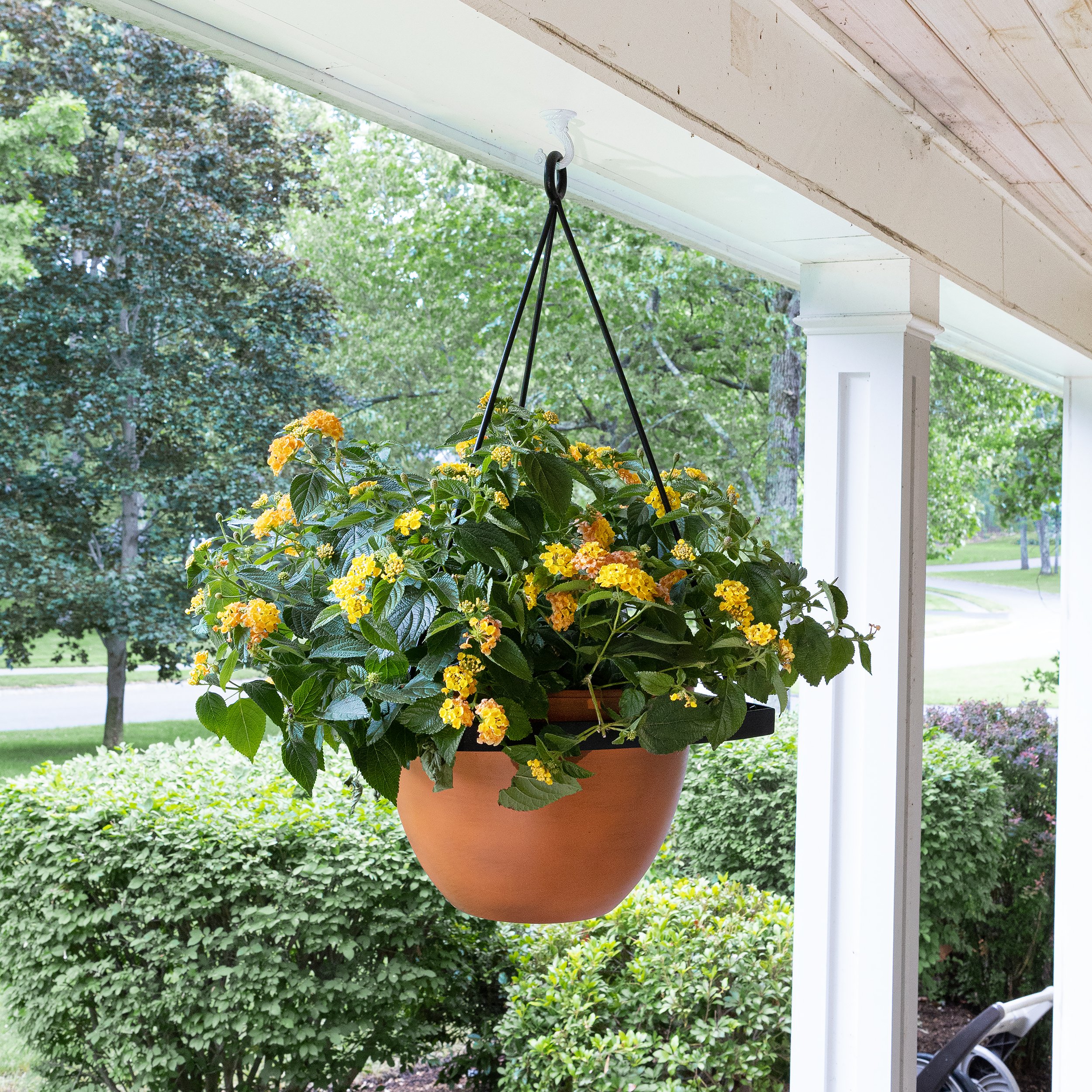 Achla 11 Inch Lina II Hanging Planter