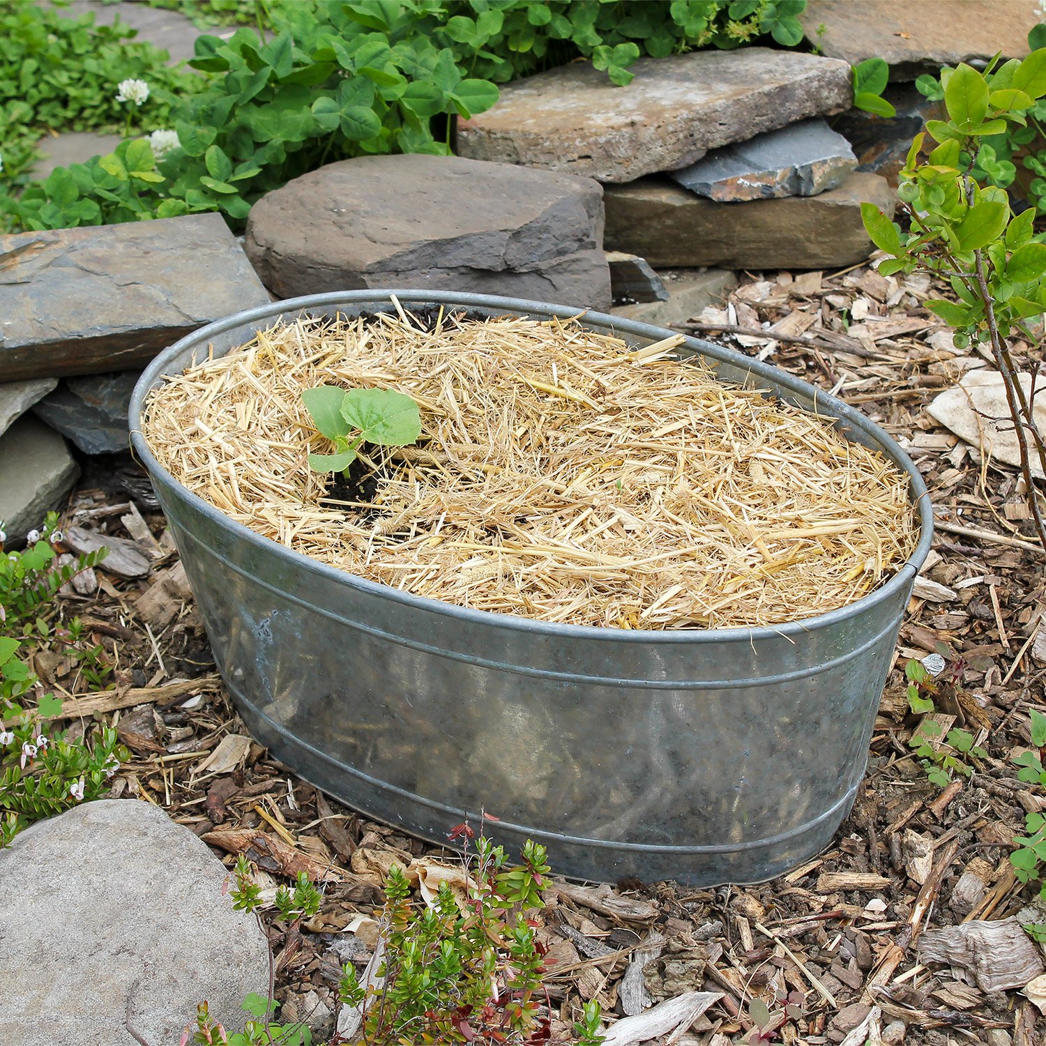 Achla 16 x 10 Inch Oval Galvanized Steel Tub