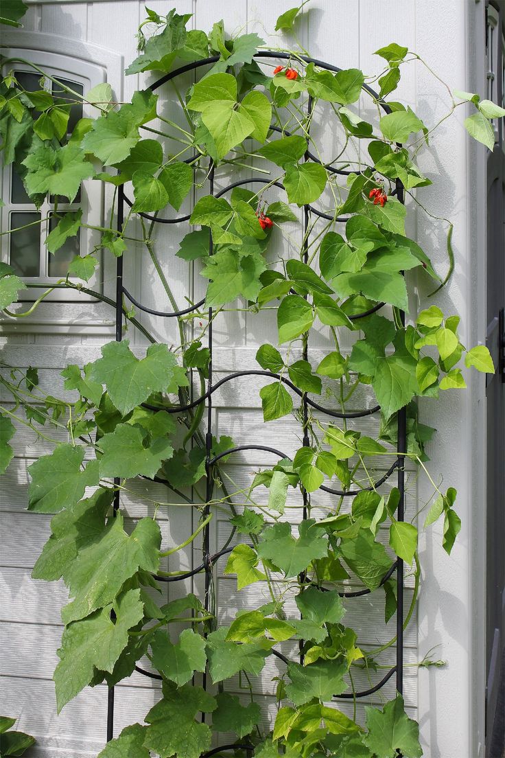 Achla 77 Inch Waves Trellis