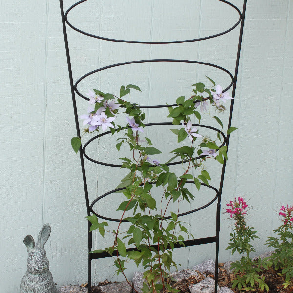 Achla 61 Inch Ovals Trellis