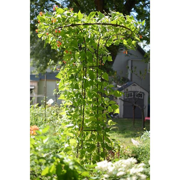 Achla 72 Inch Mushroom Trellis