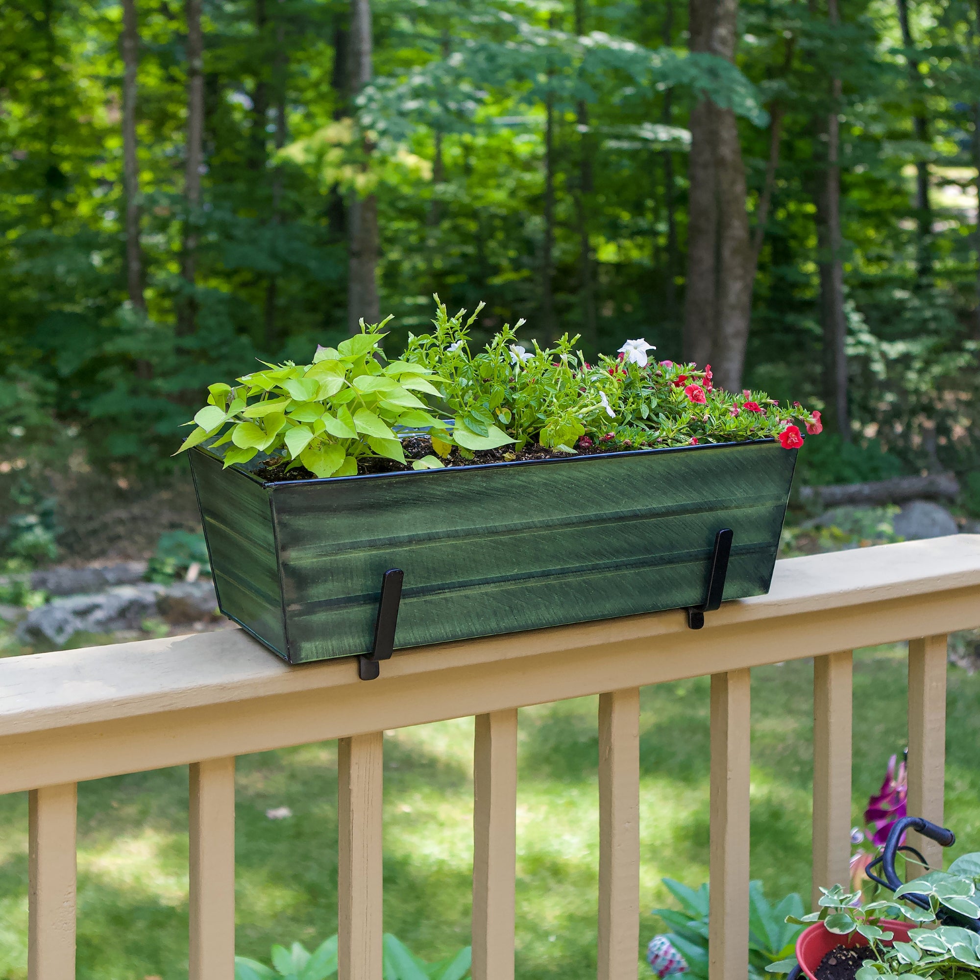 Achla 24 Inch Bloom Box Garden Growing Kit with Mounting Brackets