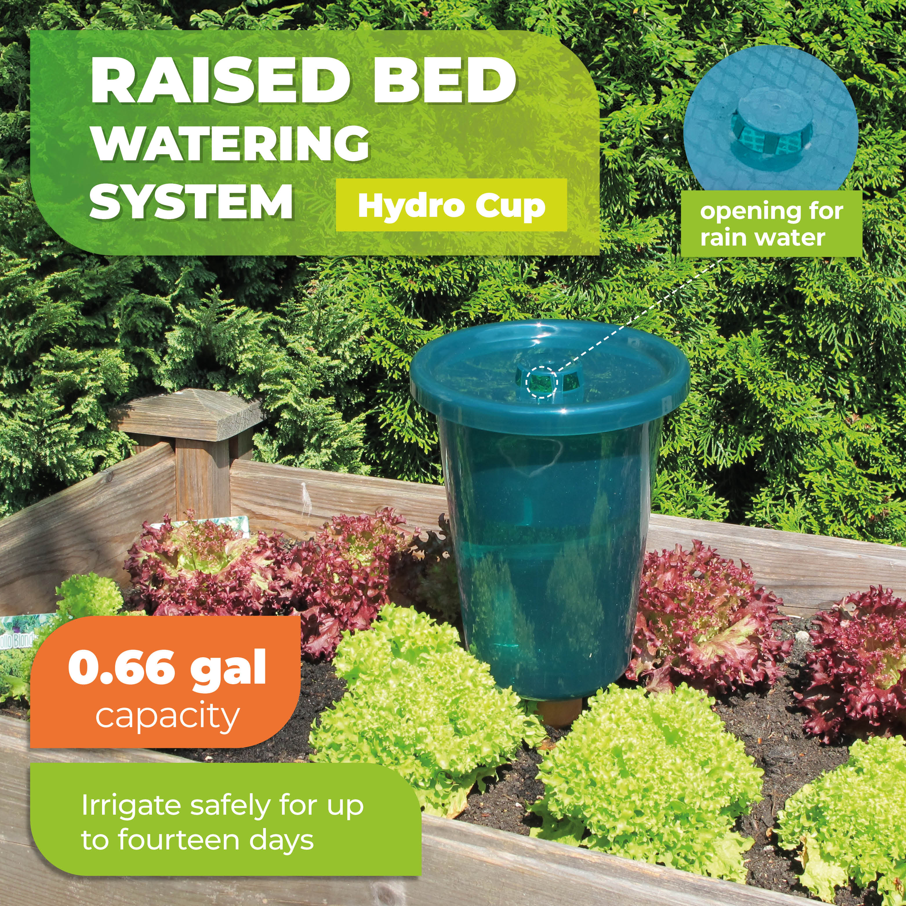 Bio Green Replacement Cup for Hydro Cup Systems