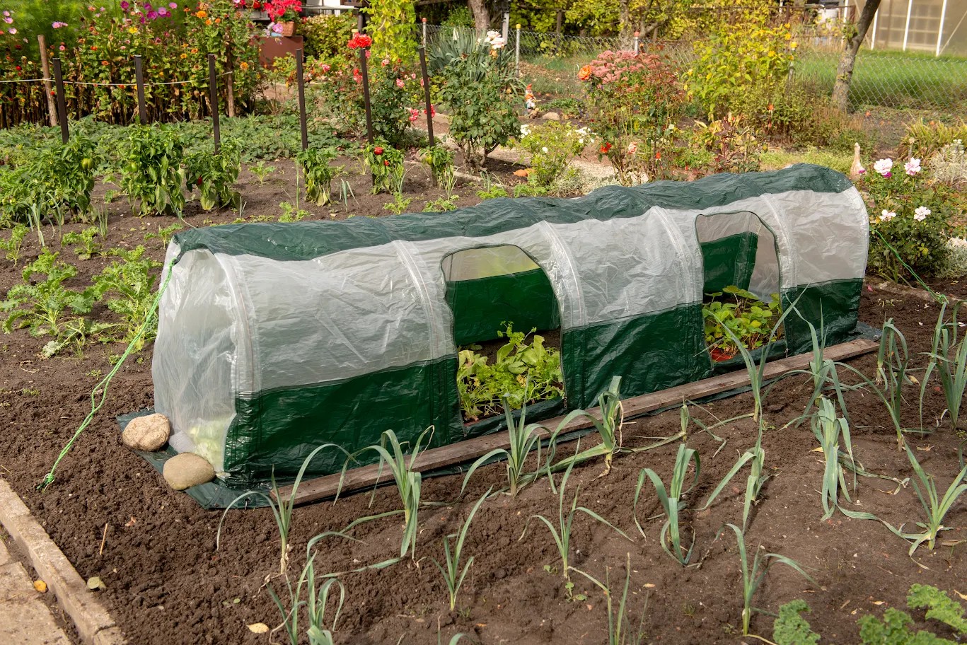 Bio Green Rainexo Polytunnel Super Dome Mini Greenhouse
