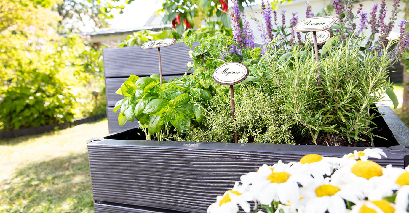 Graf Ergo Quadro Small Raised Garden Bed
