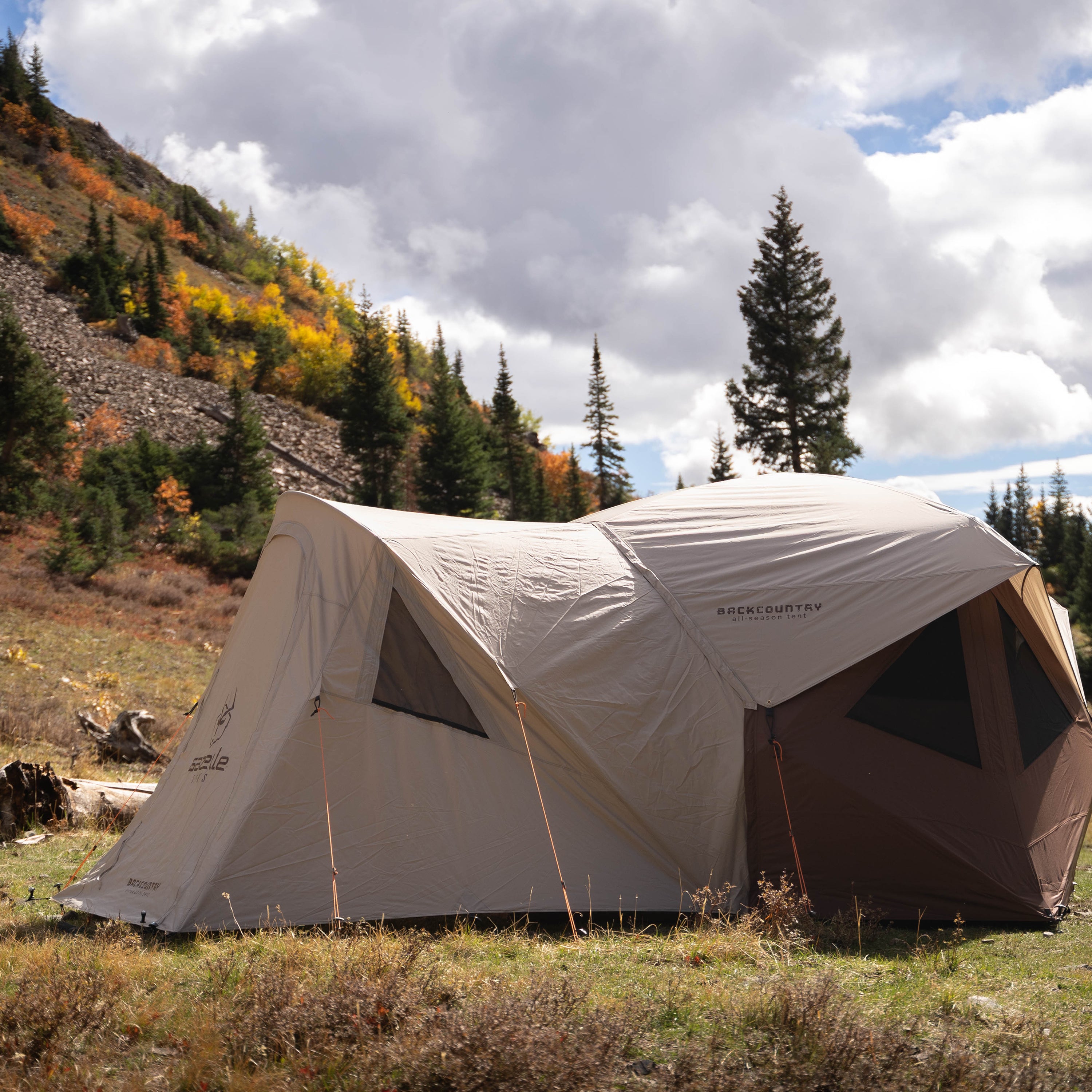 Gazelle Tents Vestibule for T5 Backcountry All-Season Tents