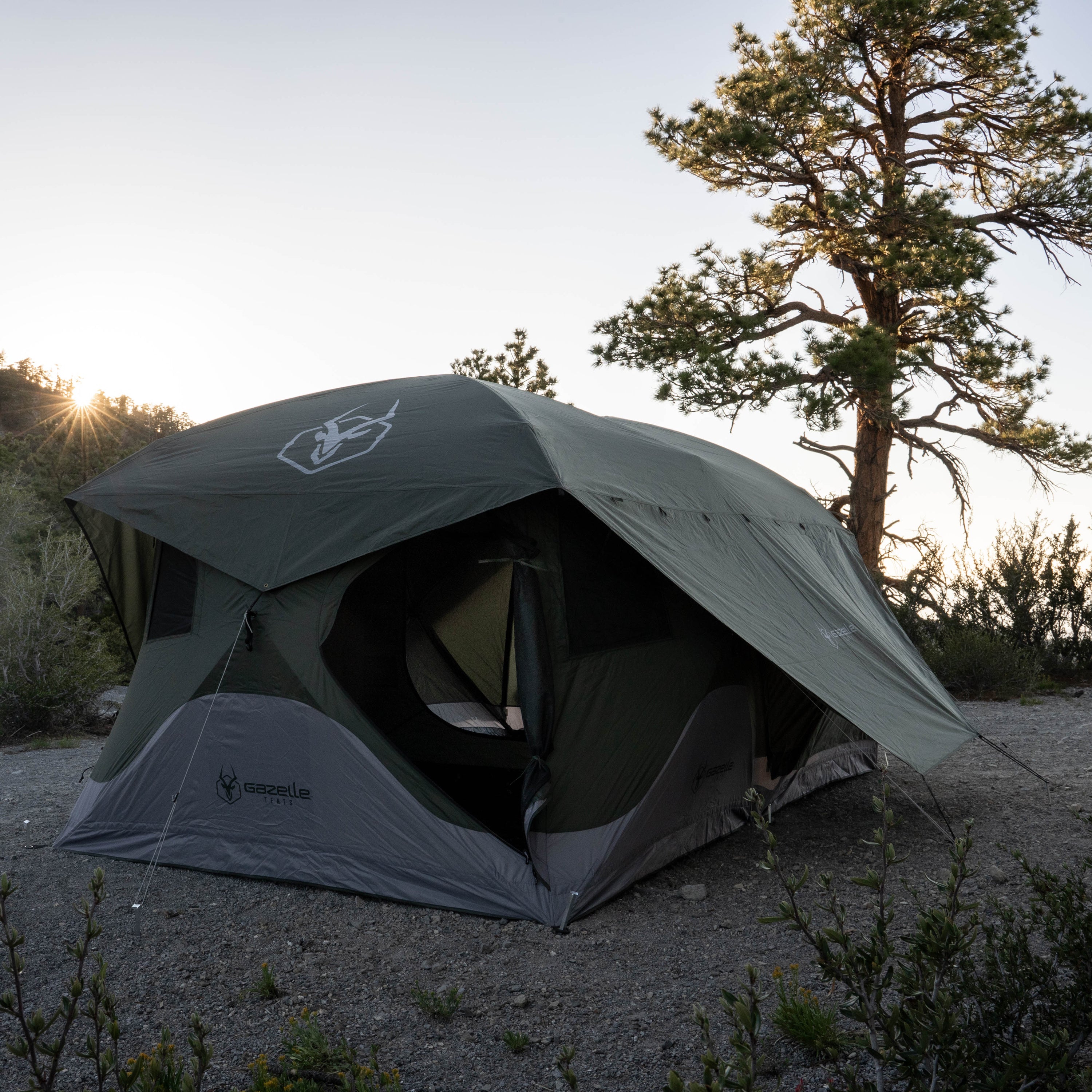 Gazelle Tents 165 x 94 Inch Alpine Green T4 Tandem Hub Tent