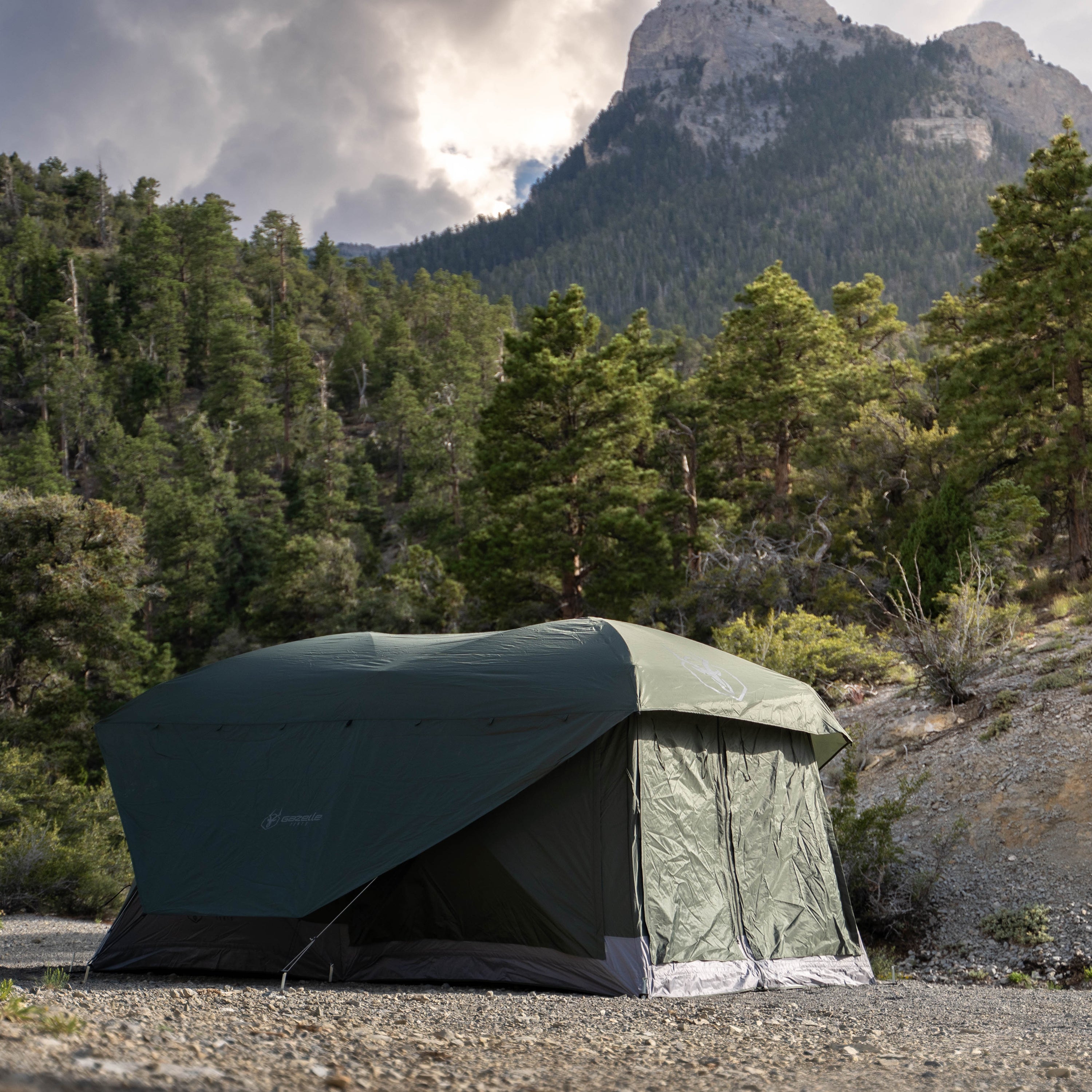 Gazelle Tents 165 x 94 Inch Alpine Green T4 Tandem Hub Tent