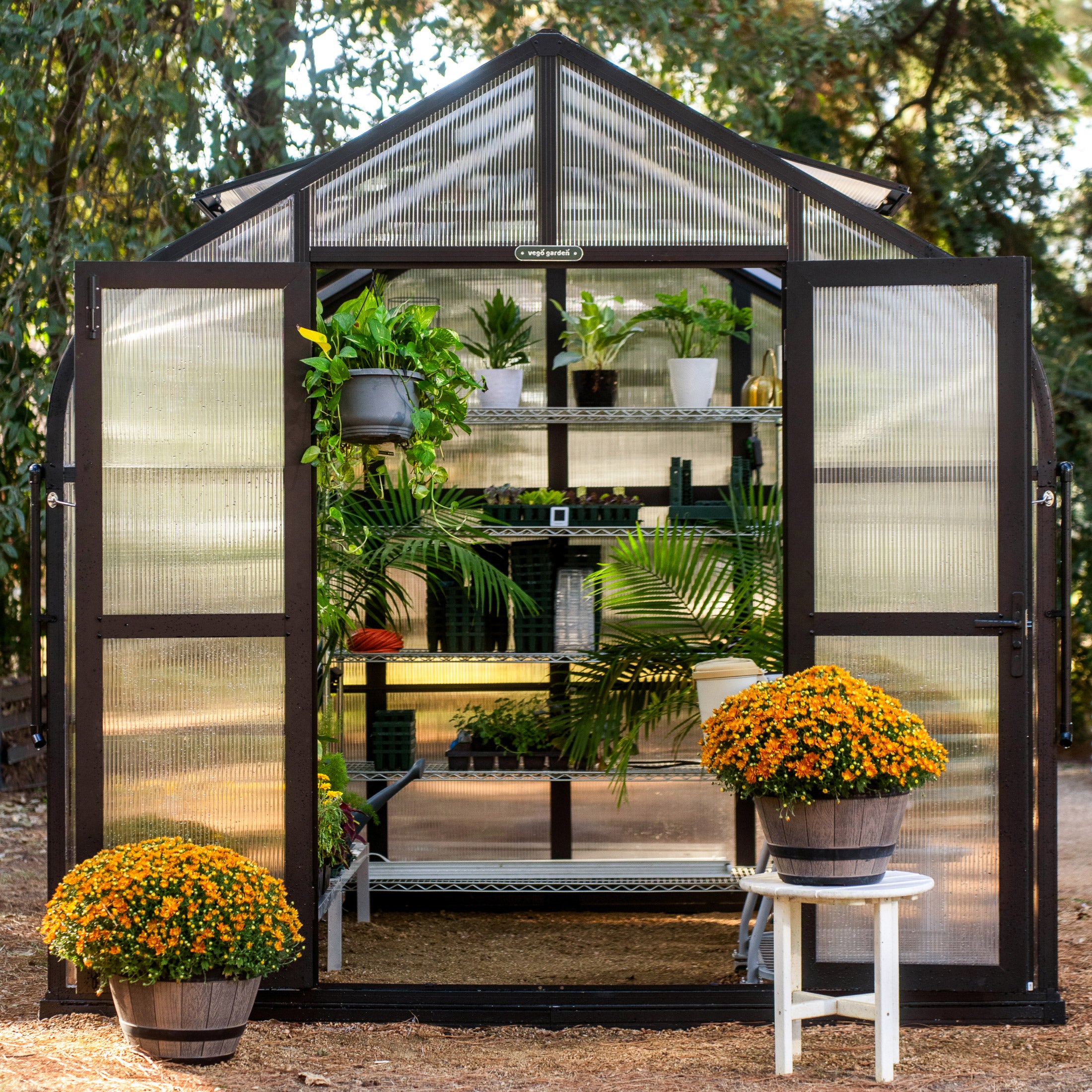Vego Garden 8.5 x 10.5 Foot Pacific Greenhouse Kit