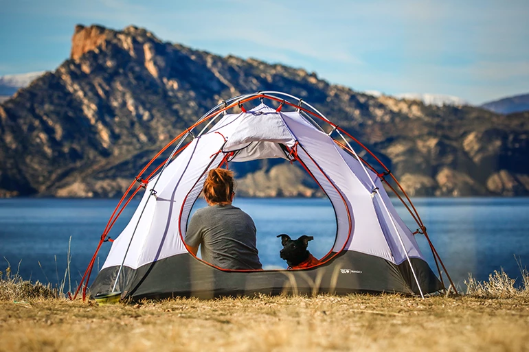 The Survival Guide to Camping Tents