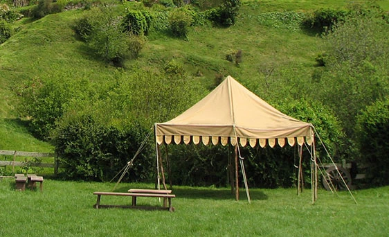 14 Rules for Canopy Care