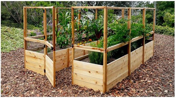 Lean To Sheds