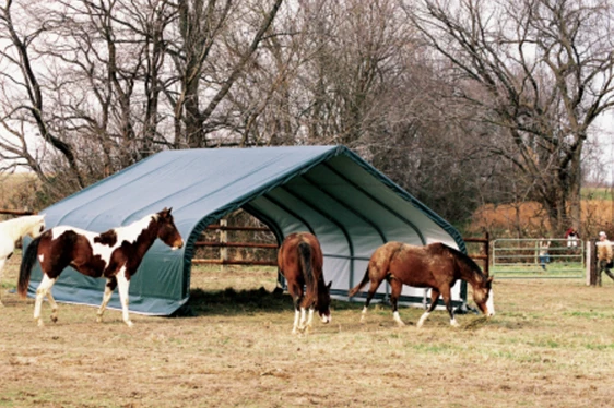 ShelterLogic Canopies, Sheds, & Portable Garages