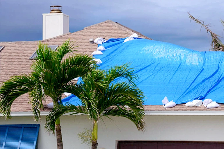 Tarps