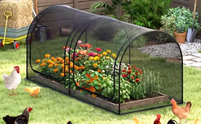 Hoop Houses